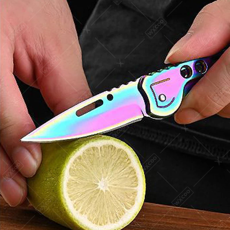 Kitchen Fruit Knife Stainless Steel