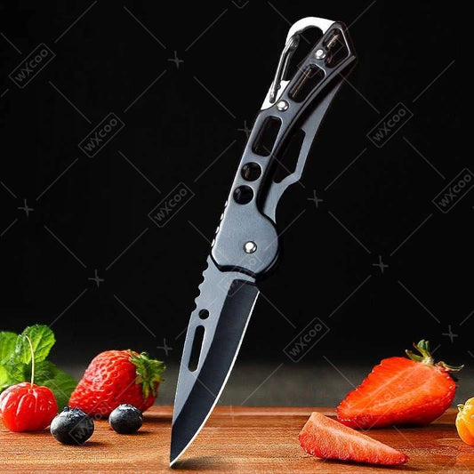 Kitchen Fruit Knife Stainless Steel